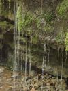 DSC02349-2.jpg