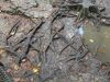 DSC02365-2.jpg