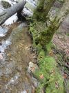DSC02368-2.jpg