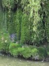 DSC02398.JPG