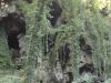 DSC02419.JPG