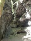 DSC02421.JPG