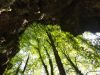 DSC02423.JPG