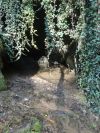 DSC02424.JPG