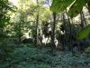 DSC02435.JPG