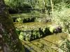 DSC02439.JPG