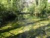 DSC02440.JPG