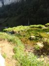 DSC02443.JPG