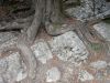 DSC02475.JPG