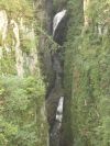 DSC02487.JPG