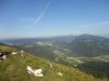 DSC02517.JPG