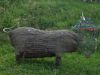 DSC02959.JPG