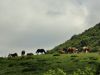 DSC02962.JPG