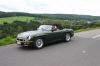 Guldensporenrit_08-48_Alain_V_L~0.jpg