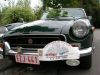 Guldensporenrit_08-52_Wim.jpg