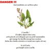 jardinage.jpg
