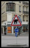 panneau_elephant1.jpg