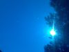 29052009030.jpg