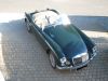 IMG_1550w.jpg