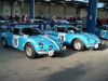 Alpine.jpg
