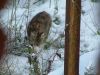 DSCF7987.JPG