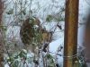DSCF7988.JPG