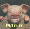mdr-co16.gif