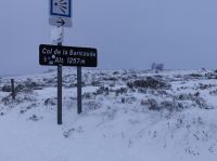 0E020758-437B-4BC5-94D9-5F1F2F851140.jpeg