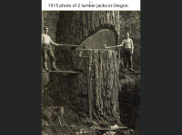 100467CC-6E8C-4D7B-A899-988559B0055C.png
