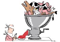 1204-Dessin-schot.gif