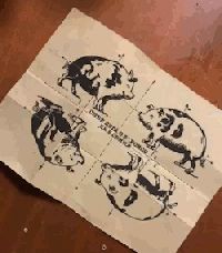 123.gif