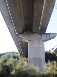12F00046-4D5F-4874-B8BB-1BDB90712A91.jpeg