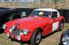 14 - Austin Healey.jpg