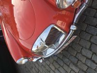 1816C920-AEA2-4587-B060-4C945942743E.jpeg