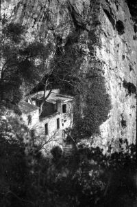 195103-AC-galamus-02-18727.jpg