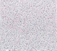 1BC0FE45-4138-4D04-9805-0ECE73FBD948.jpeg