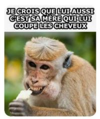 1y.jpg