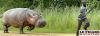 20090824PHOWWW00219.jpg