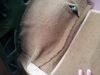 20121023_084930.jpg