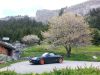 20130604_143158.jpg