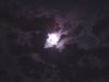 2014-07-14_02_47_19.jpg