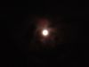 2014-07-14_02_49_45.jpg