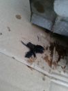 20140315_180314.jpg