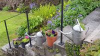 20150528_182925.jpg