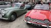 20151206_104146.jpg