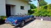 20160607_101205.jpg