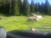 20160704_092733_281024x76829.jpg