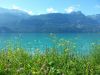 Nom du fichier=20160704_103824_281024x76829~0.jpg
Taille du fichier=612Ko
Dimensions : 1024x768
Ajouté le : 15 Juillet 2016 20160704_103824_281024x76829~0.jpg