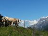 20160704_150856_281024x76829.jpg