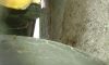 20170226_124530.jpg